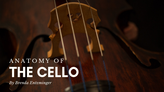 anatomy of cello brenda entzminger