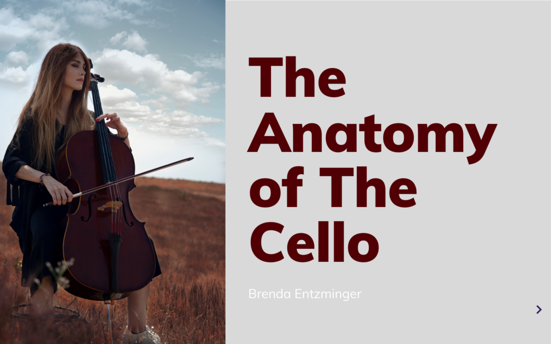 The Anatomy of The Cello