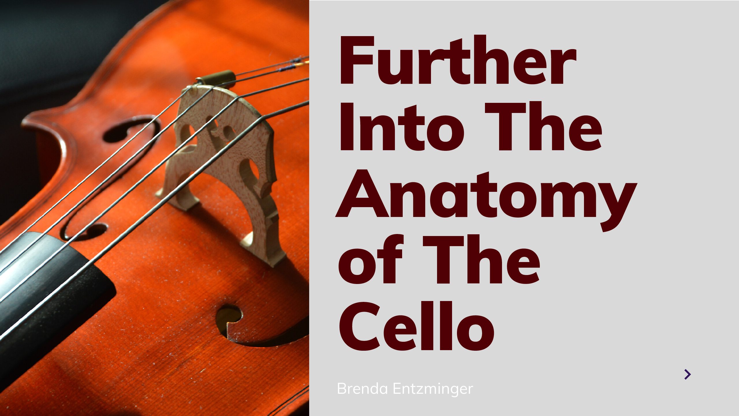 Further Into The Anatomy of The Cello
